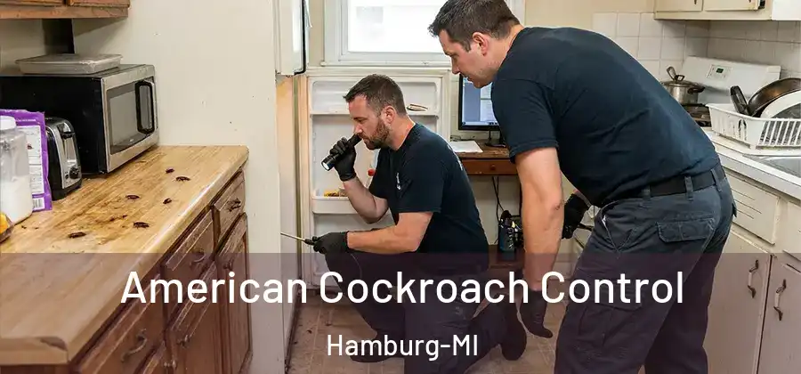 American Cockroach Control Hamburg-MI