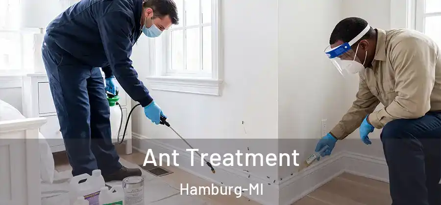 Ant Treatment Hamburg-MI