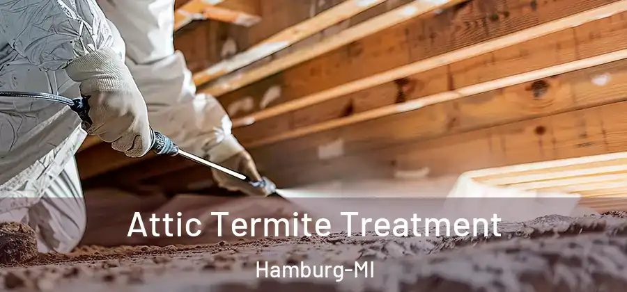 Attic Termite Treatment Hamburg-MI