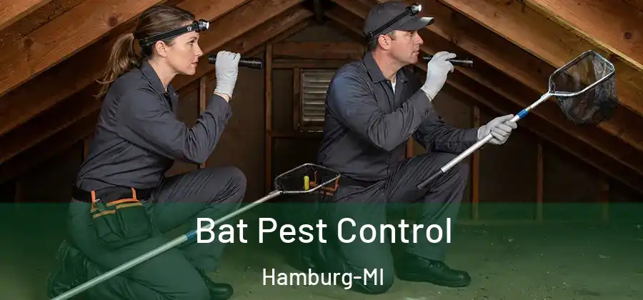 Bat Pest Control Hamburg-MI