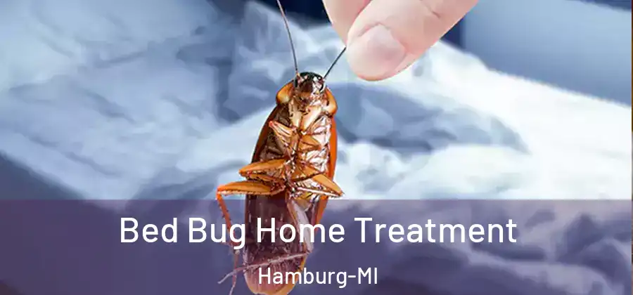 Bed Bug Home Treatment Hamburg-MI