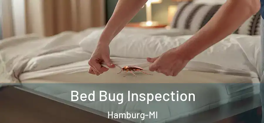 Bed Bug Inspection Hamburg-MI