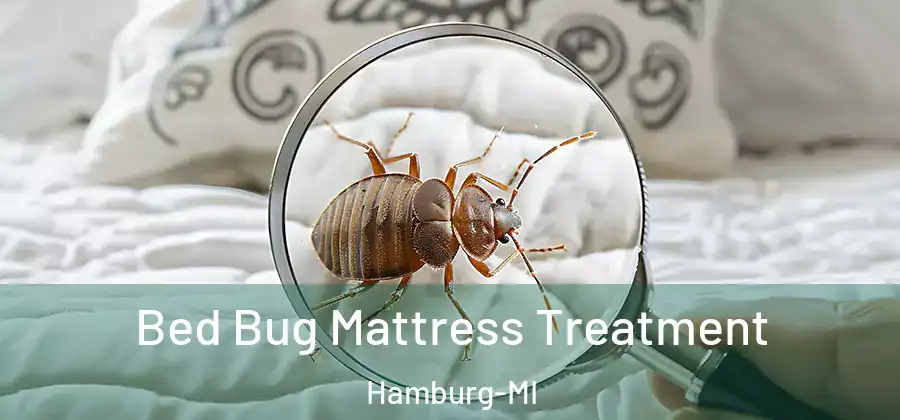 Bed Bug Mattress Treatment Hamburg-MI