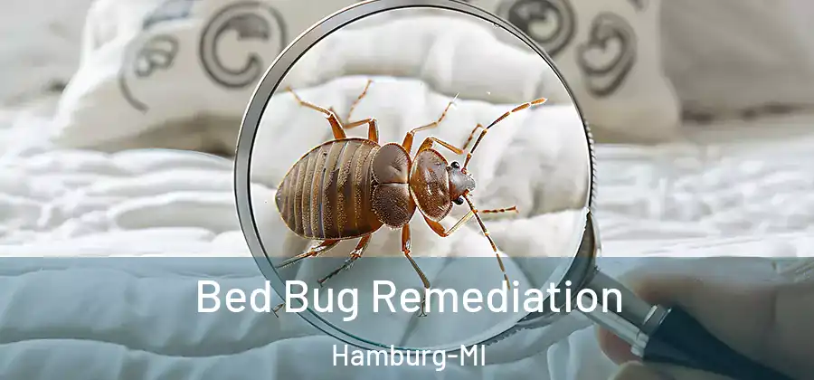 Bed Bug Remediation Hamburg-MI