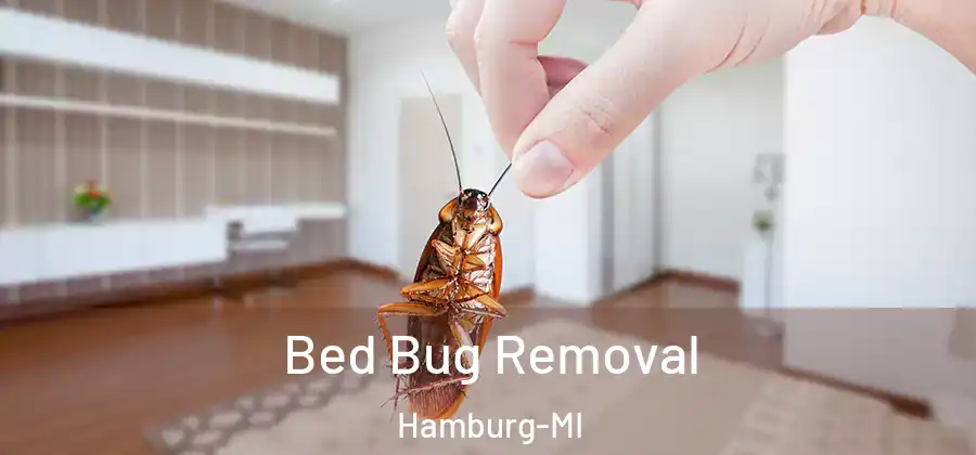 Bed Bug Removal Hamburg-MI