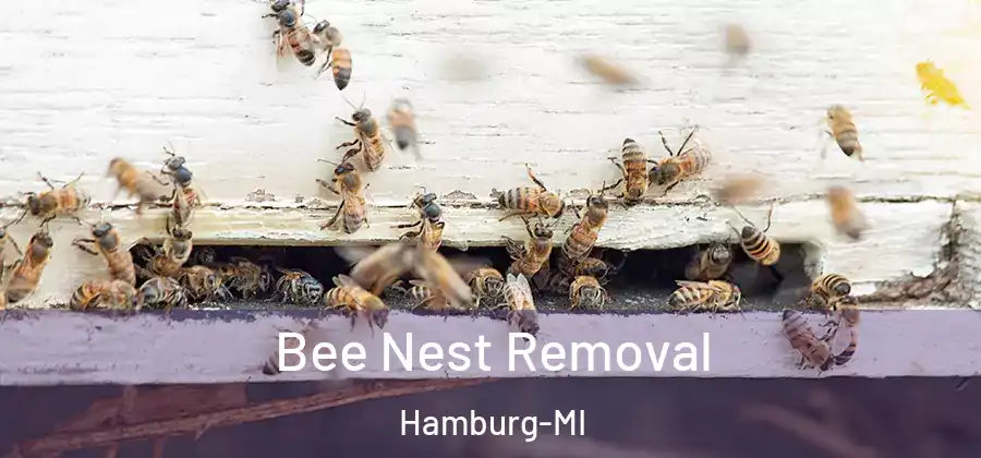 Bee Nest Removal Hamburg-MI