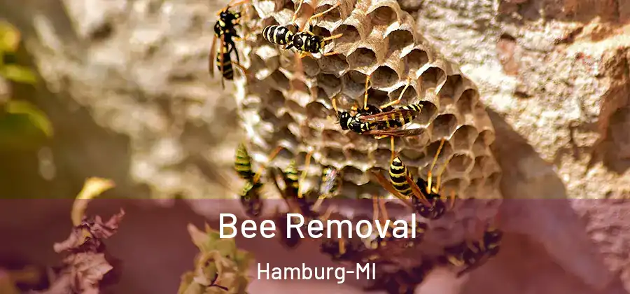 Bee Removal Hamburg-MI