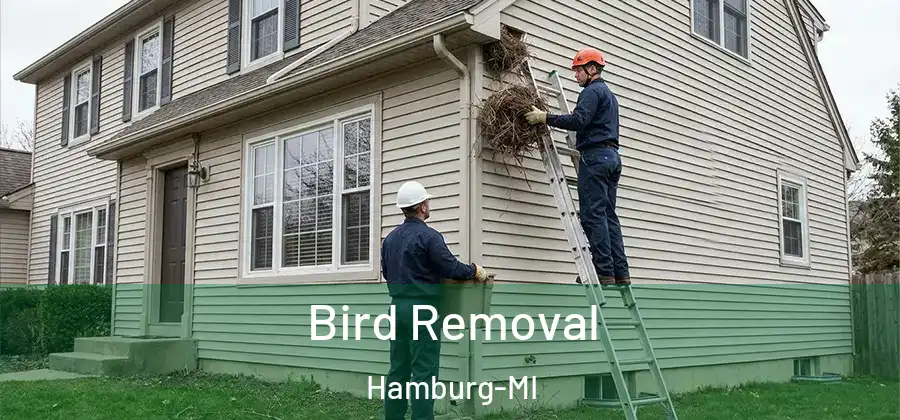 Bird Removal Hamburg-MI