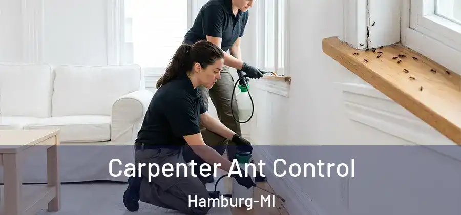 Carpenter Ant Control Hamburg-MI