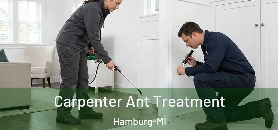 Carpenter Ant Treatment Hamburg-MI