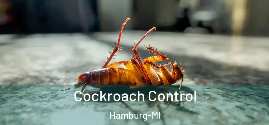 Cockroach Control Hamburg-MI