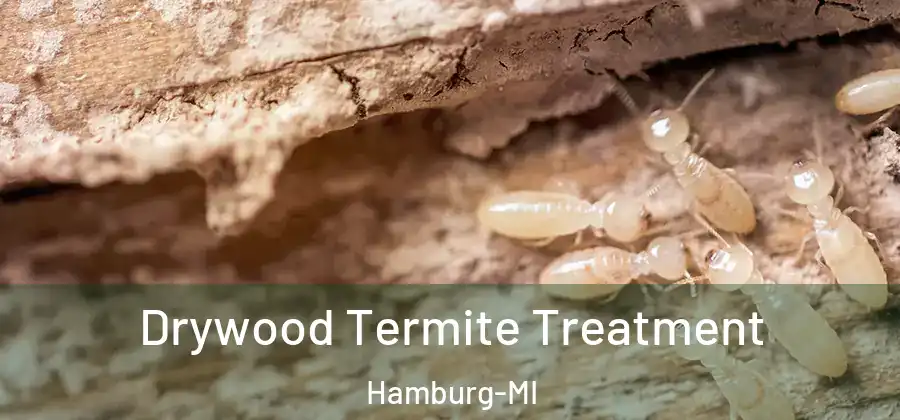 Drywood Termite Treatment Hamburg-MI