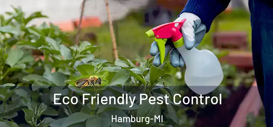 Eco Friendly Pest Control Hamburg-MI