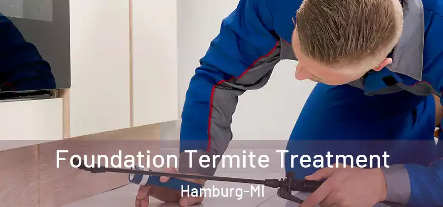 Foundation Termite Treatment Hamburg-MI