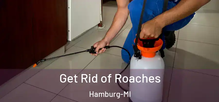 Get Rid of Roaches Hamburg-MI