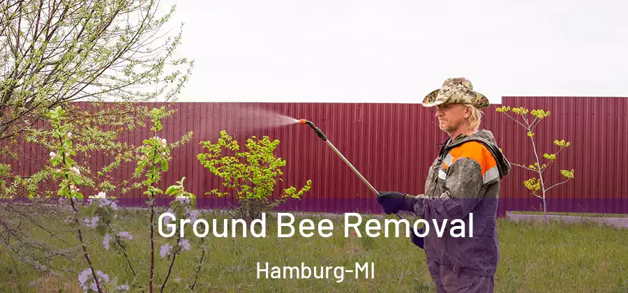 Ground Bee Removal Hamburg-MI