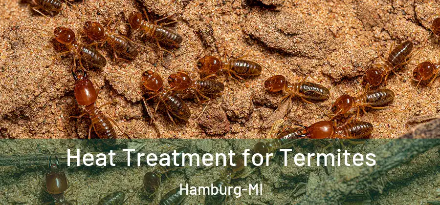 Heat Treatment for Termites Hamburg-MI