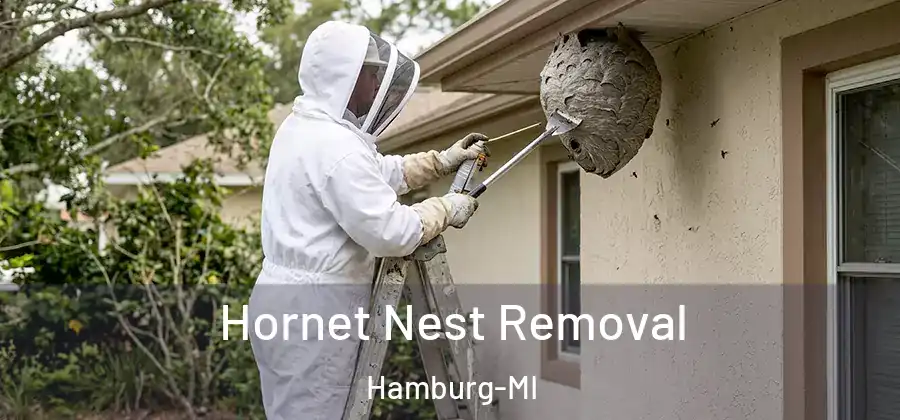 Hornet Nest Removal Hamburg-MI