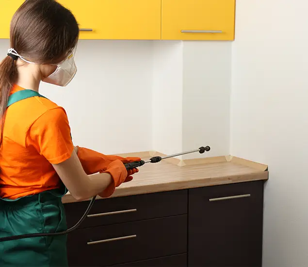 Trusted Bed Bug Pest Control Specialist in Hamburg, MI