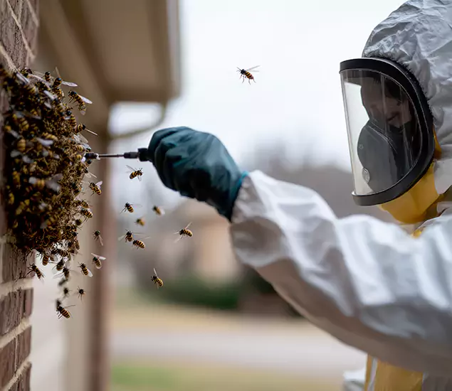 Your Bee Removal Company in Hamburg, MI