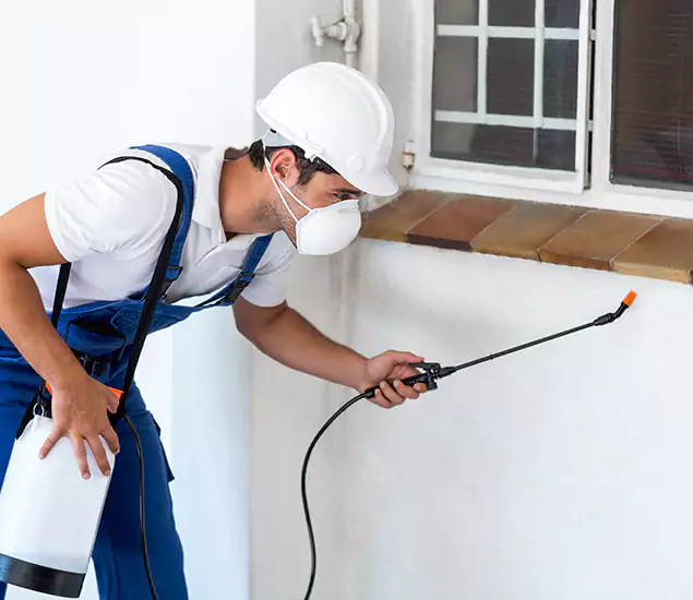 Your Professional Cockroach Exterminator in Hamburg, MI