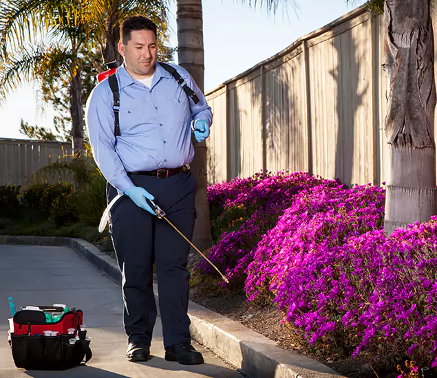 About Our Eco Safe Pest Control Experts in Hamburg, MI