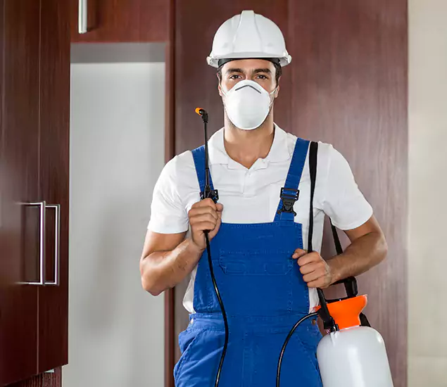 Trusted Exterminator and Pest Exterminator Professionals in Hamburg, MI