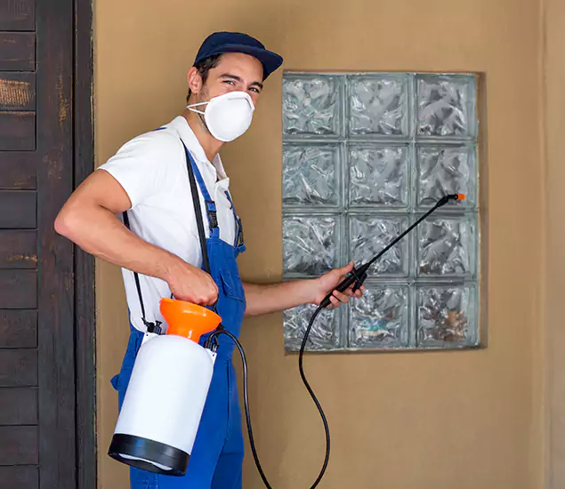About Heat Treatment for Termites Experts in Hamburg, MI