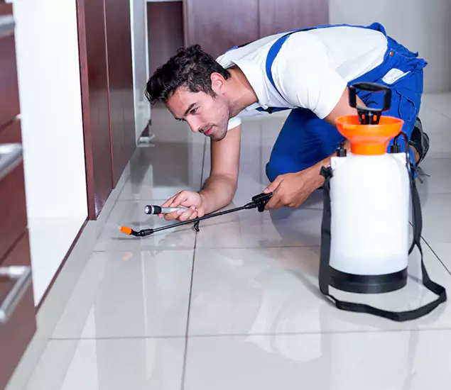 Reliable Professional Mouse Removal: Your Best Mouse Control Company in Hamburg, MI