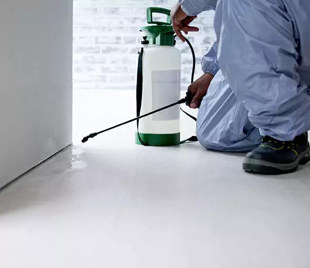 Affordable Pest Control Experts in Hamburg, MI