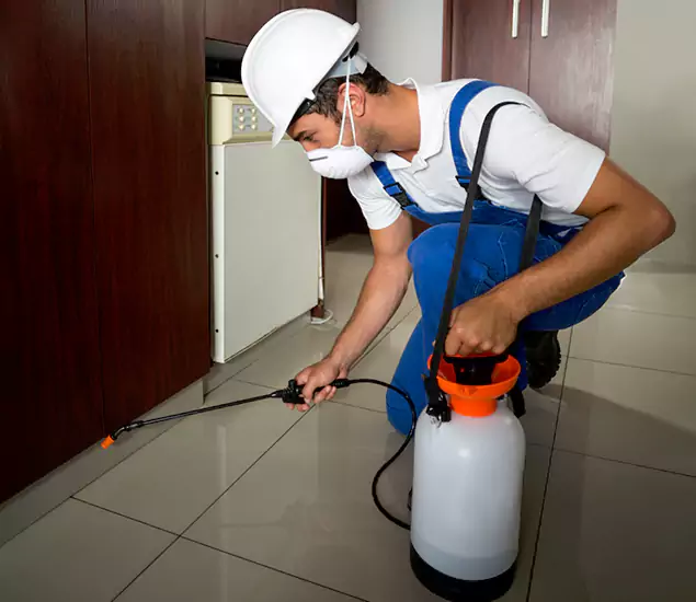 Advanced Termite Pre Treatment Experts in Hamburg, MI