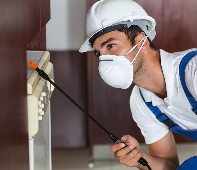 Expert Cockroach Exterminator: Your Roach Control Services in Hamburg, MI