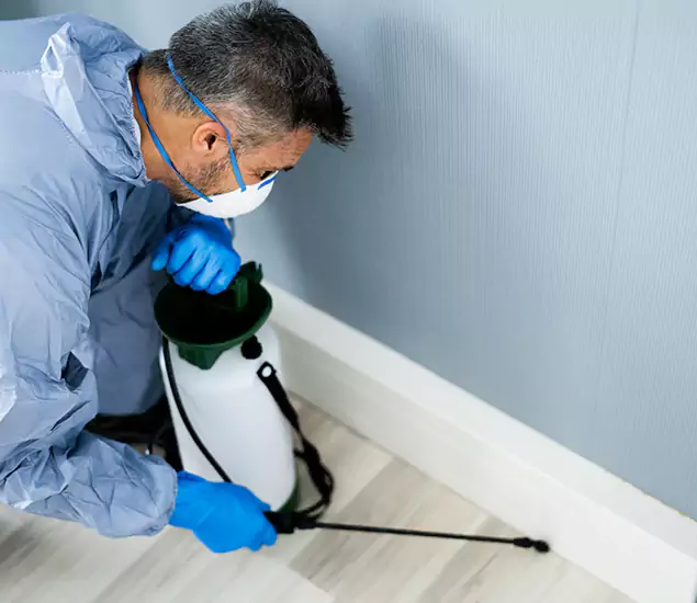 Reliable Termite Cost Experts in Hamburg, MI