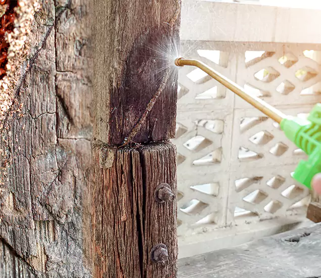 About Wood Termite Treatment Services in Hamburg, MI