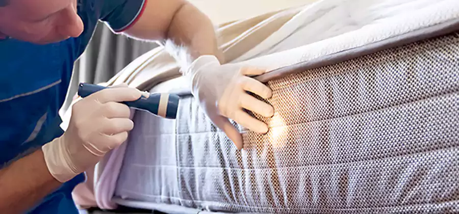 Residential Bed Bug Treatment Cost in Hamburg