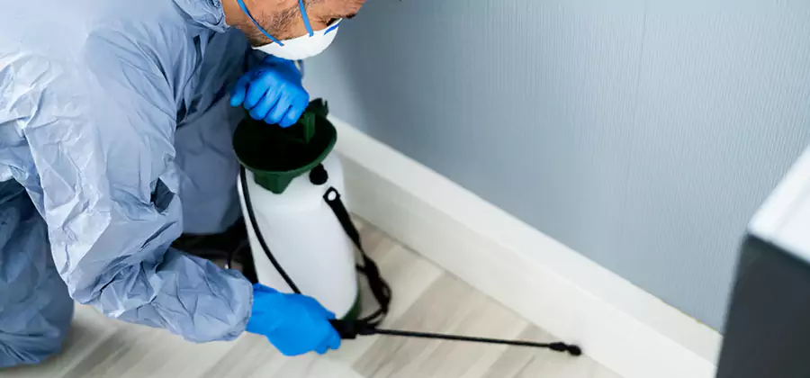 Fumigate Apartment Roaches in Hamburg