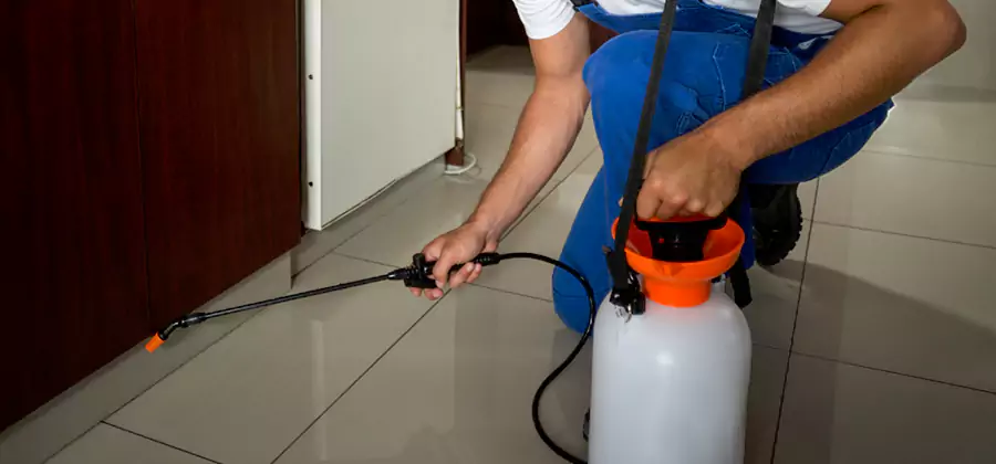 Indoor Insect Killer Solutions in Hamburg