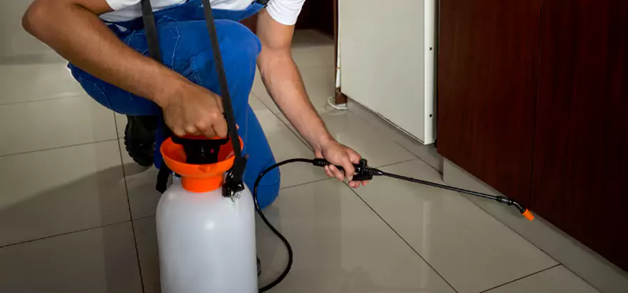 One Time Termite Control in Hamburg