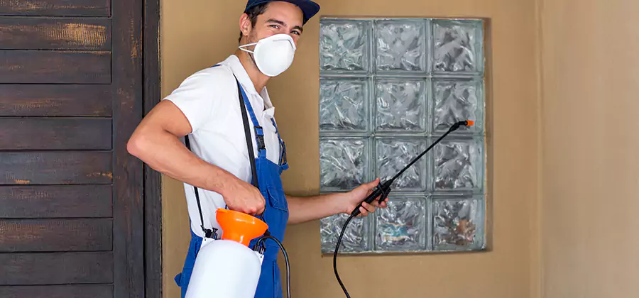 Pre-Construction Termite Treatment in Hamburg