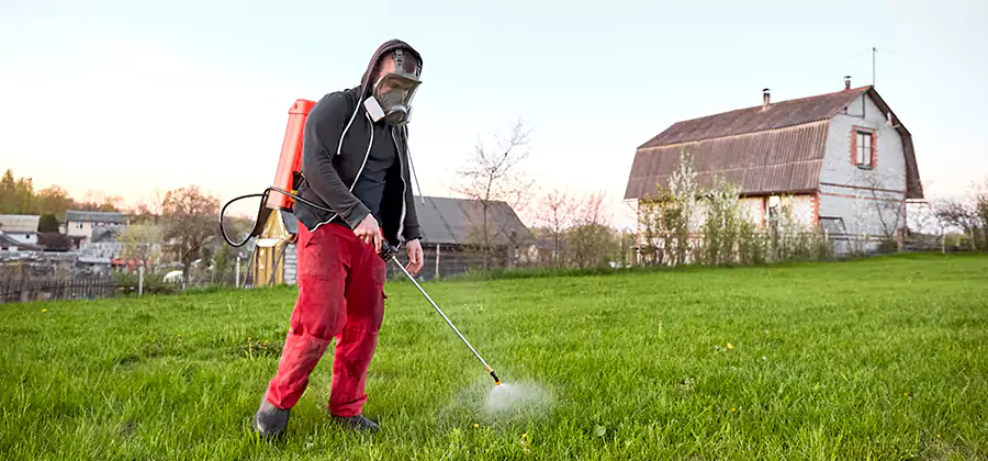 Flea and Tick Pest Control in Hamburg