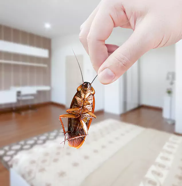 Why Hamburg Pest Control Pro Stand Out for Bed Bug Fumigation in Hamburg, MI?