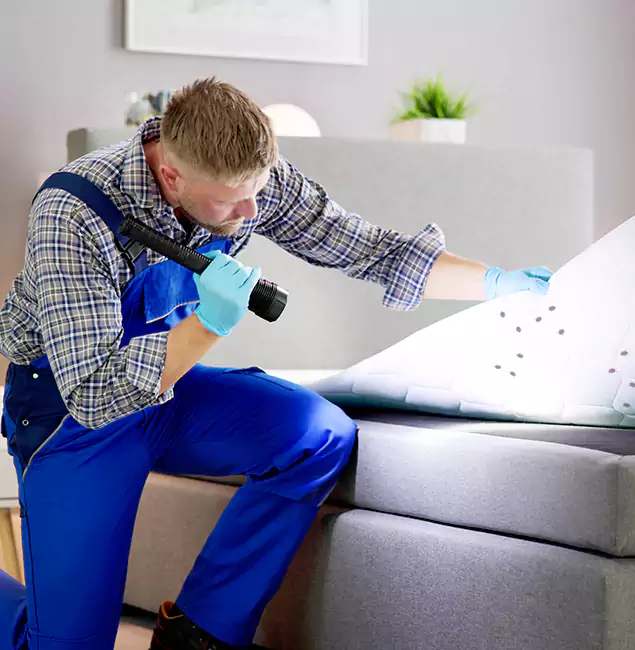 Why Choose Hamburg Pest Control Pro For Bed Bug Heat Treatment in Hamburg, MI?