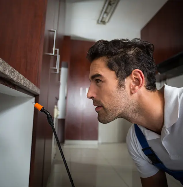 Why Choose Hamburg Pest Control Pro for Bed Bug Removal Cost in Hamburg, MI?