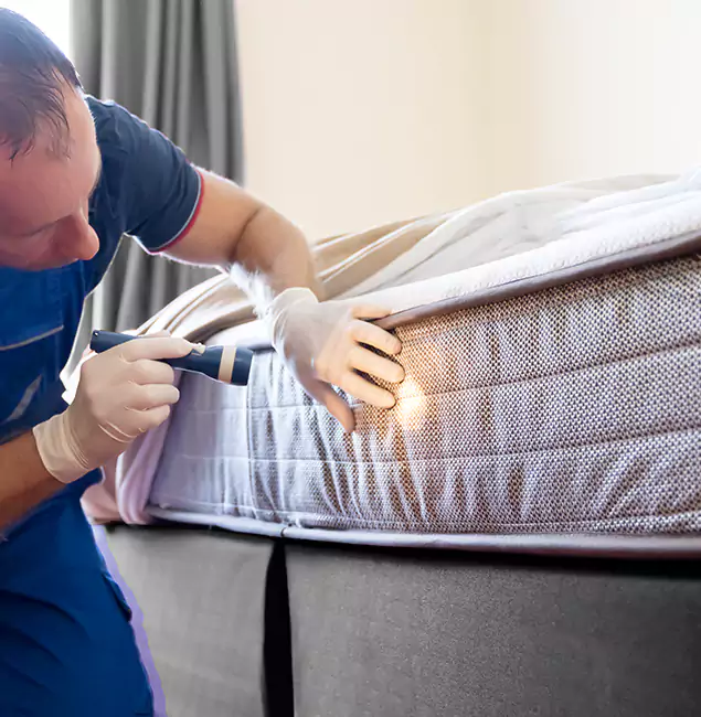 Why Choose Hamburg Pest Control Pro for Bed Bug Services in Hamburg, MI?