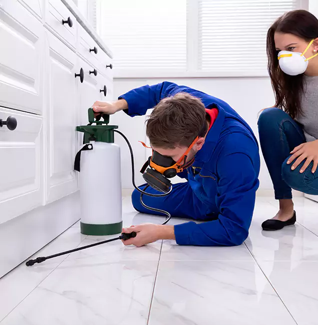 Why Choose Hamburg Pest Control Pro in Hamburg, MI?