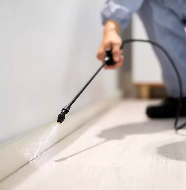 Why Choose Hamburg Pest Control Pro for Termite Treatment in Hamburg, MI?