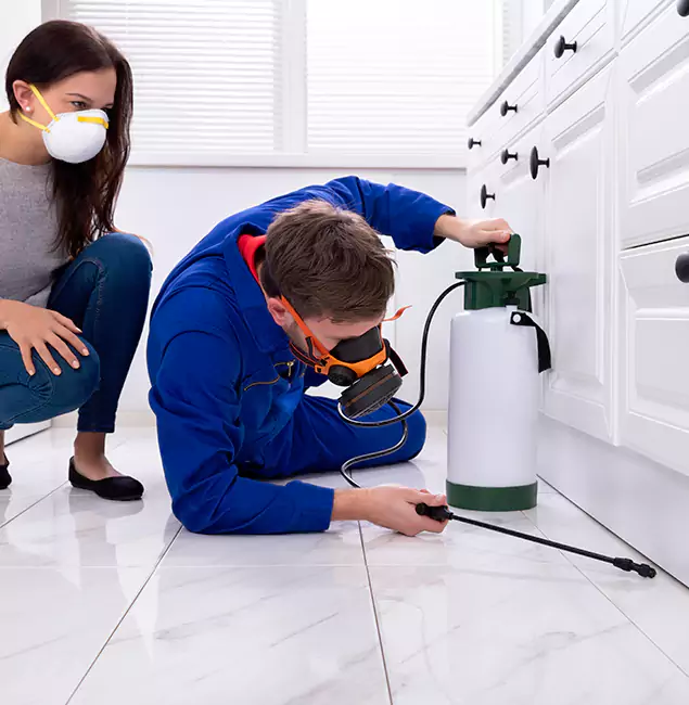 Why Hamburg, MI Homeowners Trust Hamburg Pest Control Pro for Roach Control?