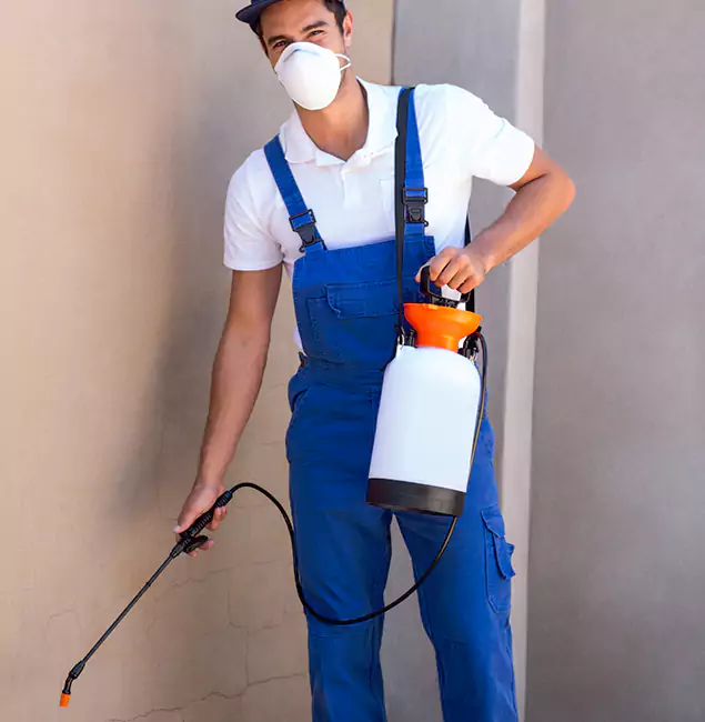 What Makes Hamburg Pest Control Pro the Right Choice in Hamburg, MI?