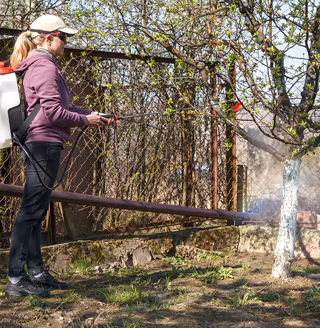 Why Hamburg Homeowners Choose Hamburg Pest Control Pro for Mosquito Abatement?