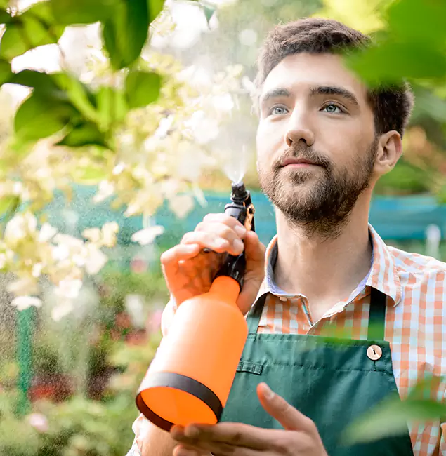 Why Hamburg Pest Control Pro Is the Best Mosquito Control Company in Hamburg, MI?